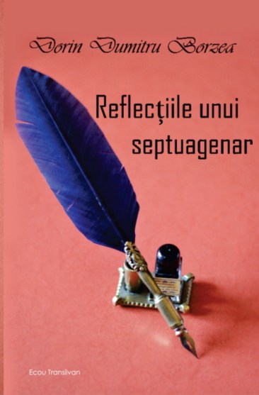 dorin borzea-reflectiile